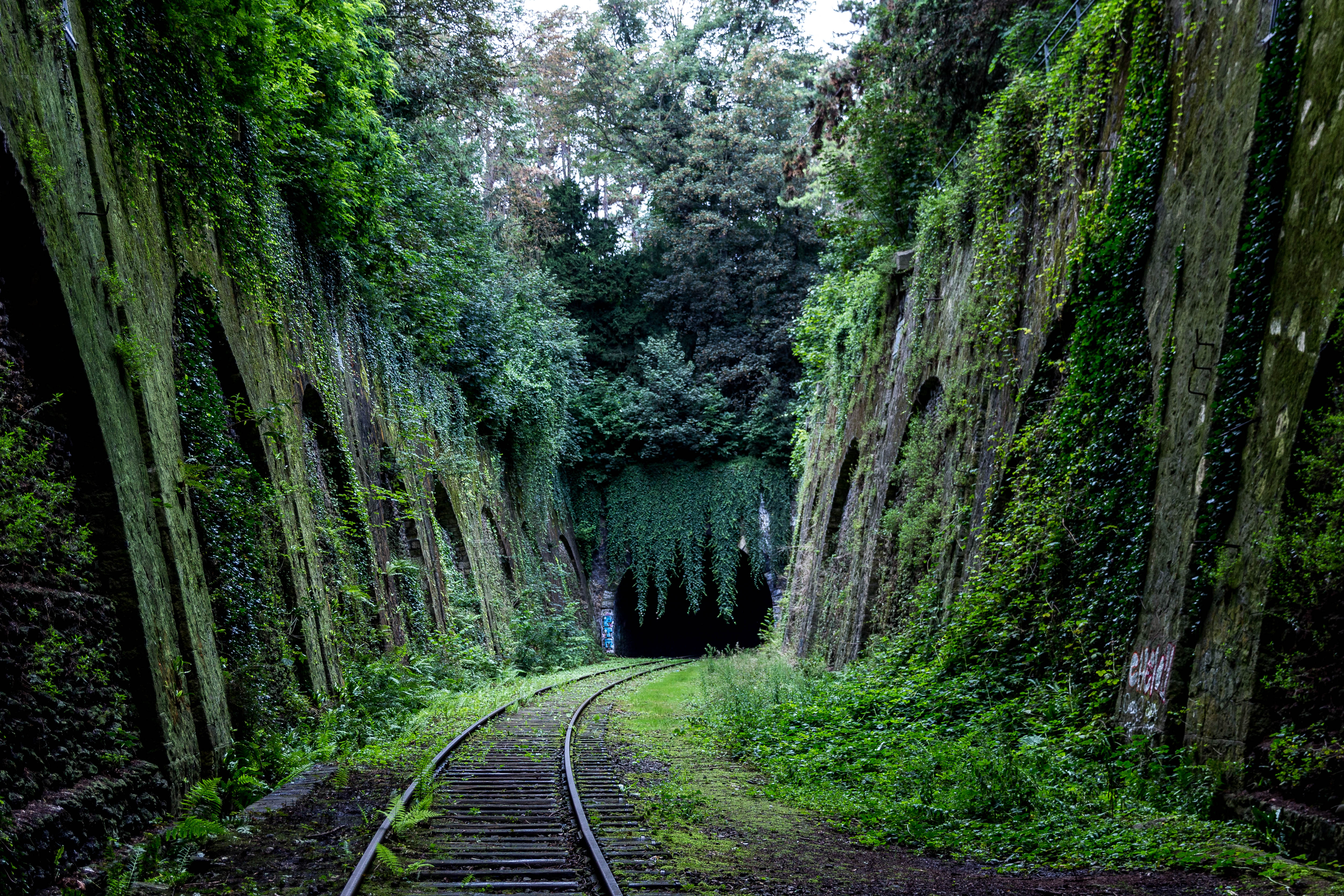 tunnel